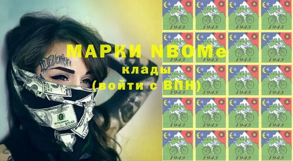 хмурый Арсеньев