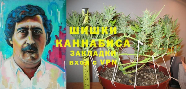 стаф Аркадак