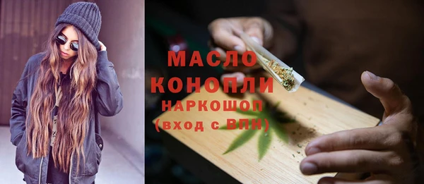 стаф Аркадак