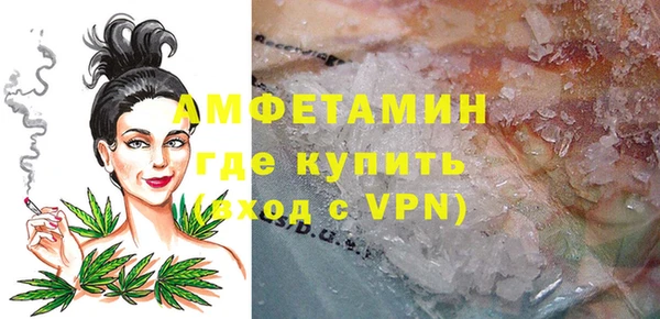 хмурый Арсеньев