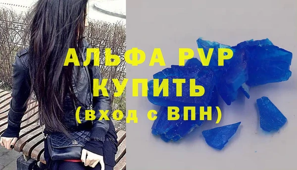 стаф Аркадак