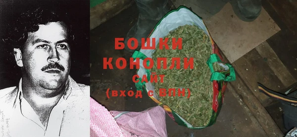 стаф Аркадак