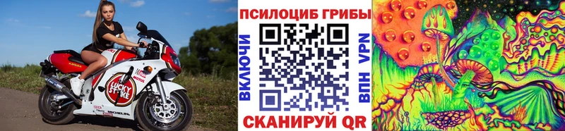 Галлюциногенные грибы прущие грибы  цены наркотик  Каспийск 