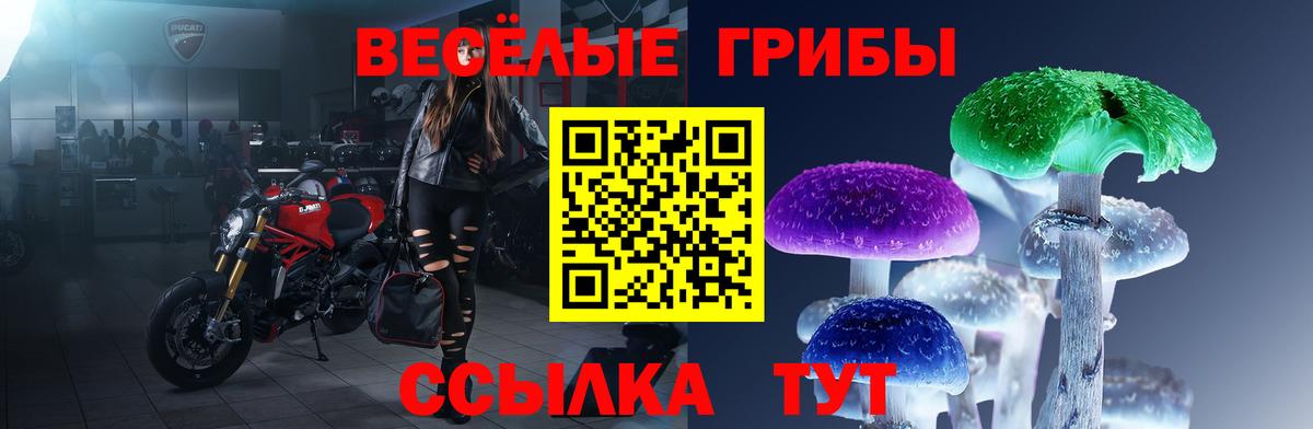 Галлюциногенные грибы Psilocybine cubensis Каспийск